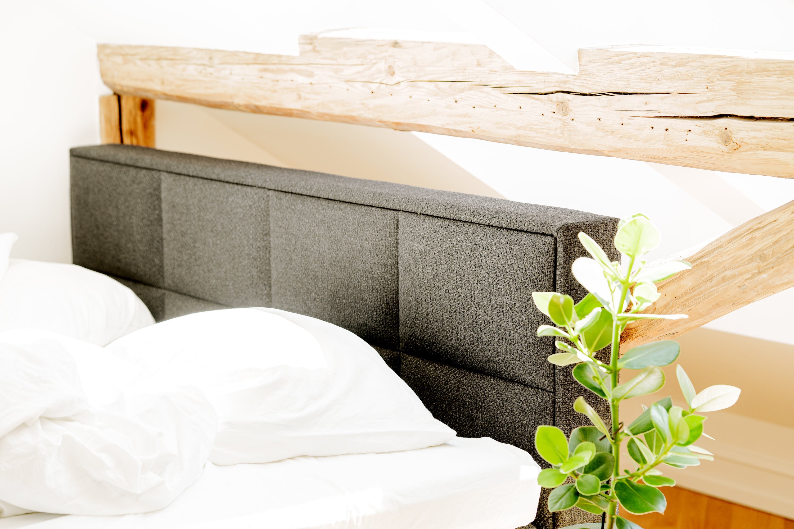SÖVNN Comfort Kontinentalseng - 220x220 - Sort
