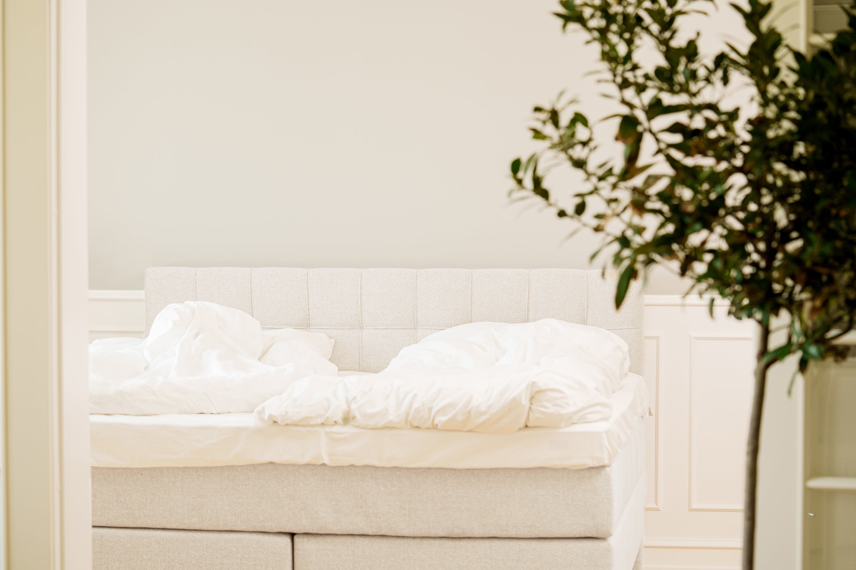 SÖVNN Comfort Kontinentalseng - 220x220 - Lys Beige