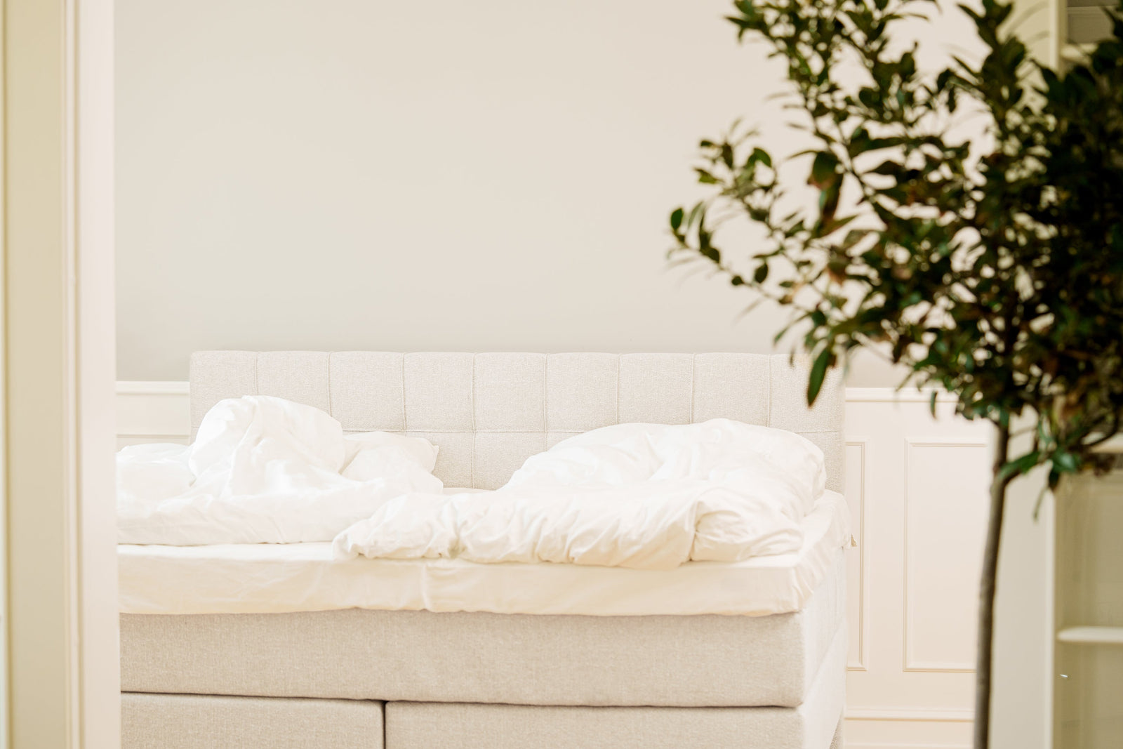 SÖVNN Comfort Kontinentalseng - 220x220 - Lys Beige